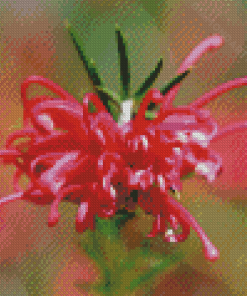 Close Up Grevillea Diamond Painting