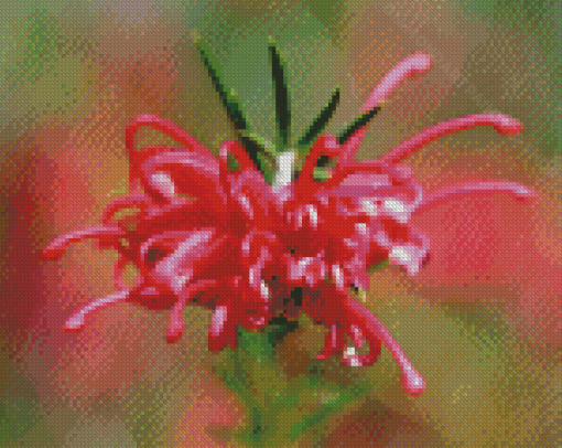 Close Up Grevillea Diamond Painting