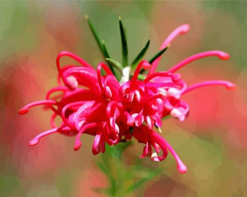 Close Up Grevillea Diamond Painting