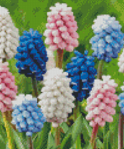 Closed Hyacinth Flowers Diamond Painting