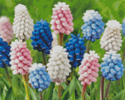 Closed Hyacinth Flowers Diamond Painting