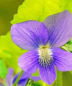 Common Blue Violet Plant Diamond Painting