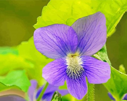 Common Blue Violet Plant Diamond Painting