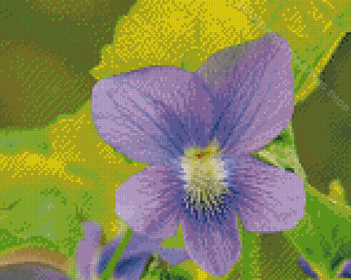 Common Blue Violet Plant Diamond Painting