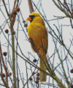 Yellow Cardinal On Dead Tree Diamond Painting