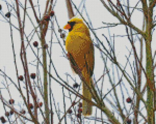 Yellow Cardinal On Dead Tree Diamond Painting