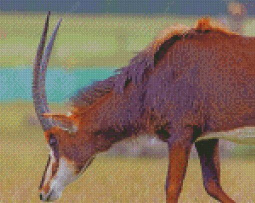 East African Sable Antelope Diamond Painting