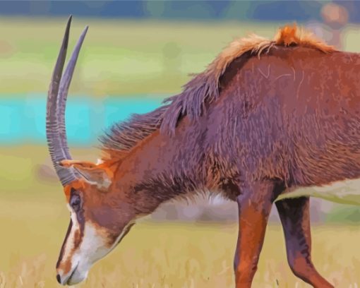 East African Sable Antelope Diamond Painting