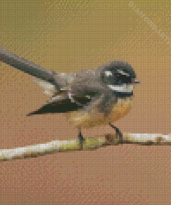 Fantail Bird Diamond Painting