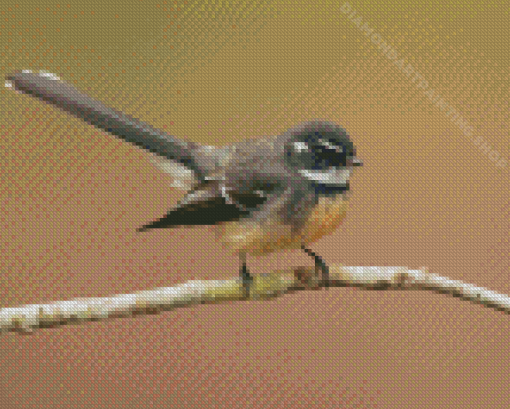 Fantail Bird Diamond Painting