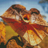 Frilled Lizard Animal Diamond Painting