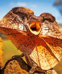 Frilled Lizard Animal Diamond Painting