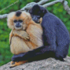 Gibbons Couple Diamond Painting