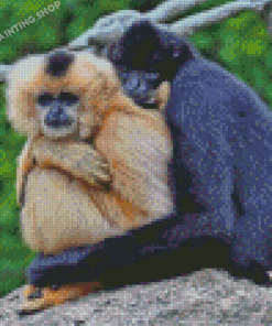 Gibbons Couple Diamond Painting