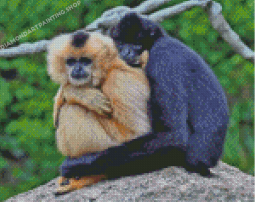 Gibbons Couple Diamond Painting