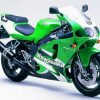 Green Ninja ZX 7R Diamond Painting