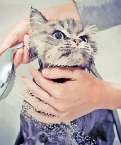 Grey Cat Shower Diamond Painting