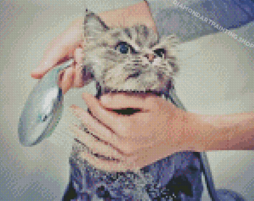 Grey Cat Shower Diamond Painting