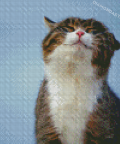 Happy Cat Diamond Painting