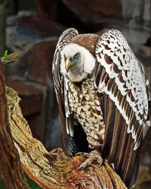 Himalayan Griffon Diamond Painting