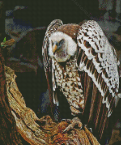 Himalayan Griffon Diamond Painting