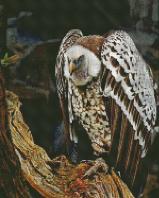 Himalayan Griffon Diamond Painting