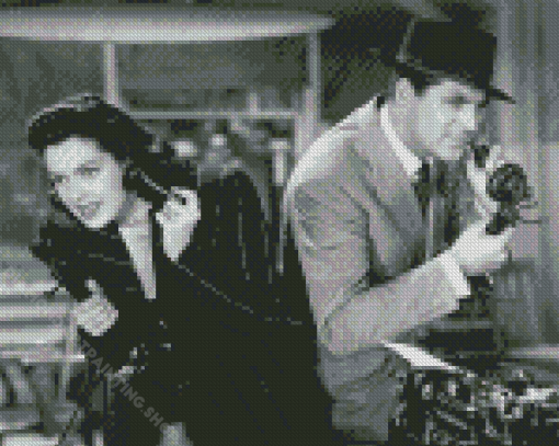 His Girl Friday Diamond Painting