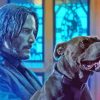 John Wick With His Dog Diamond Painting