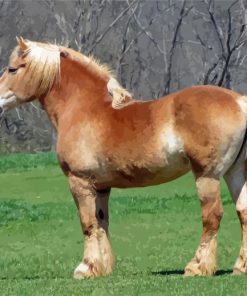 Light Brown Draft Horse Diamond Painting