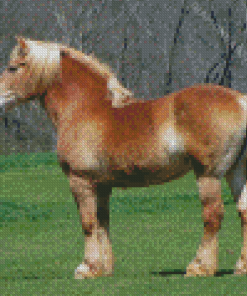 Light Brown Draft Horse Diamond Painting