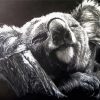 Lovely Black And White Koala Diamond Painting