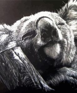 Lovely Black And White Koala Diamond Painting