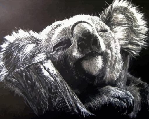 Lovely Black And White Koala Diamond Painting