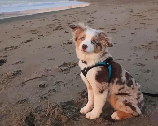 Mini Australian Shepherd In Beach Diamond Painting