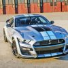 Mustang Shelby Gt500 Diamond Paintign