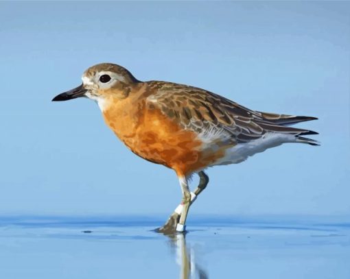 New Zealand Dotterel Diamond Painting