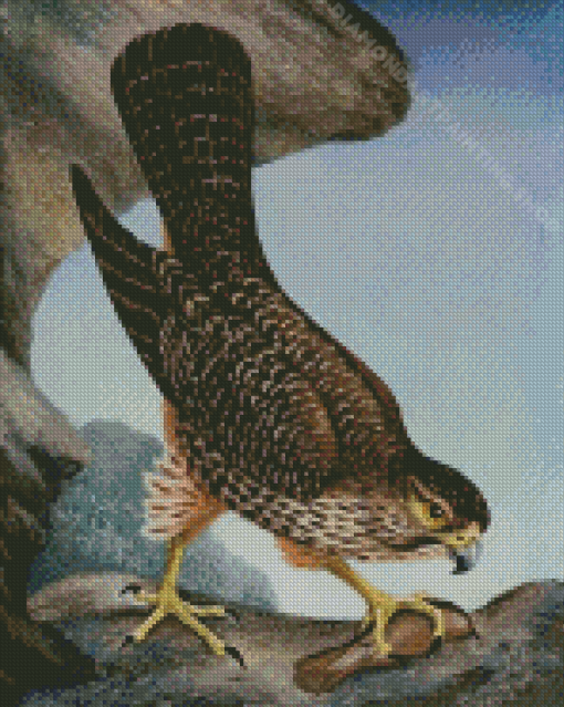 New Zealand Falcon Diamond Painting