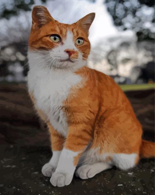 Orange And White Cat Diamond Painting