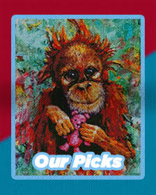 Our Picks