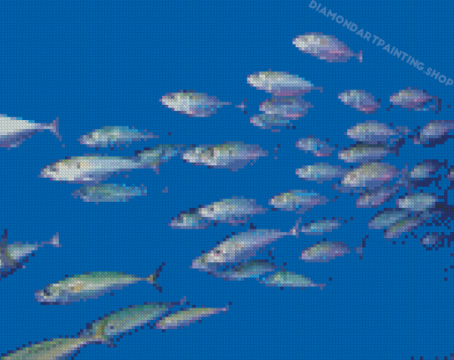 Pacific Sardines Fish Diamond Painting