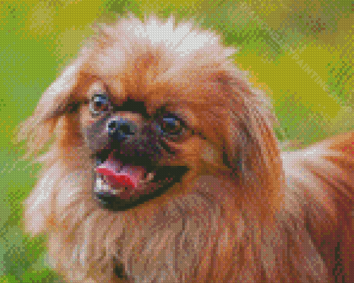 Pekingese Puppy Diamond Painting