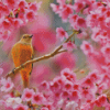 Pink Cherry Blossom And Bird Diamond Painting