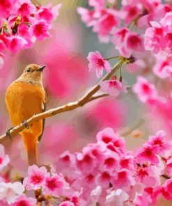 Pink Cherry Blossom And Bird Diamond Painting