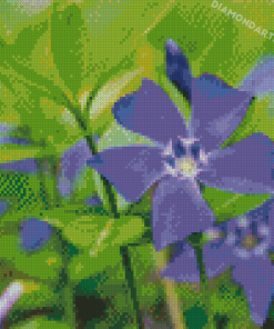 Purple Flower Periwinkle Diamond Painting