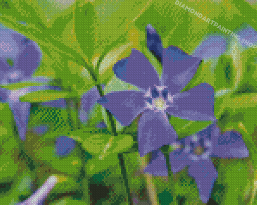 Purple Flower Periwinkle Diamond Painting