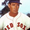 Red Sox Ted Williams Diamond Painting