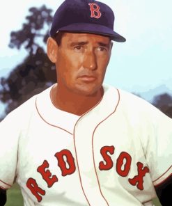 Red Sox Ted Williams Diamond Painting