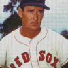 Red Sox Ted Williams Diamond Painting