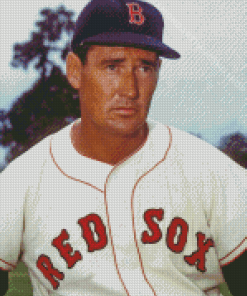 Red Sox Ted Williams Diamond Painting