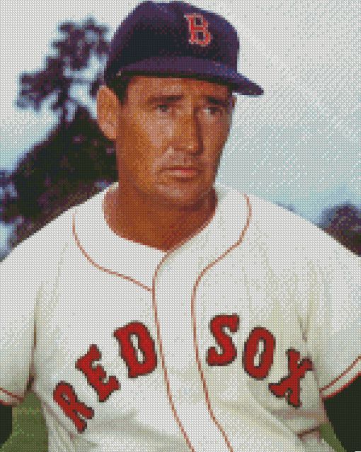 Red Sox Ted Williams Diamond Painting